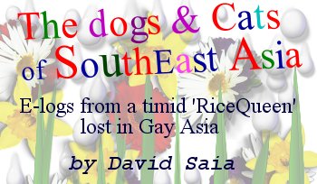 The Dogs and Cats of Southeast Asia: E-logs from a Timid 'RiceQueen', by David Saia