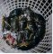 Detail - click for full size